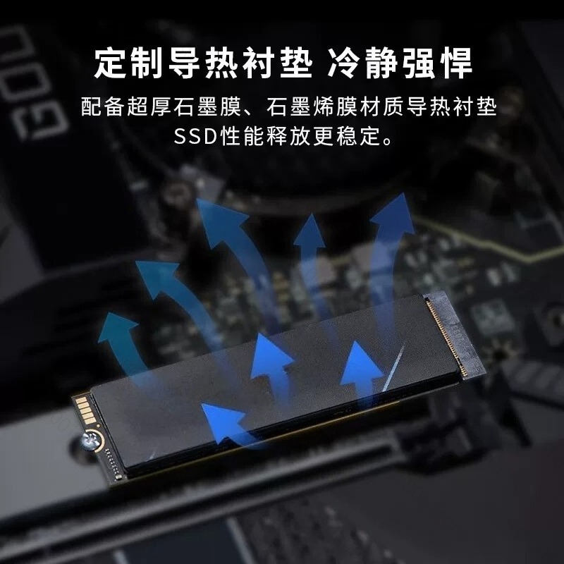 SSD M.2 NVME untuk Acer Predat - Ssd 1Tb ulasan dan harga